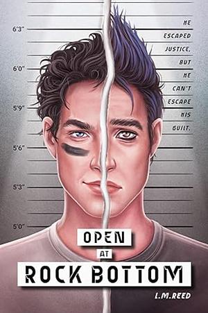 Open at Rock Bottom by L.M. Reed