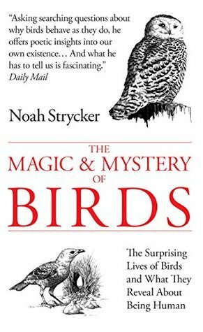 The Magic & Mystery of Birds: The Surprising Lives of Birds and What They Reveal About Being Human by Noah Strycker