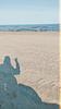 vivis_book_boat's profile picture
