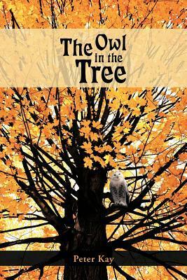 The Owl in the Tree by Peter Kay