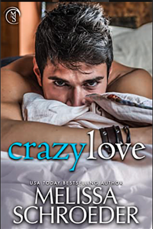 Crazy Love by Melissa Schroeder
