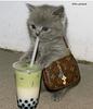 melinum's profile picture