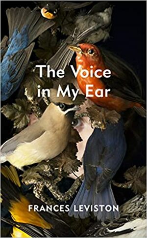 The Voice in My Ear by Frances Leviston