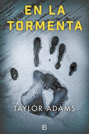 En la tormenta by Taylor Adams