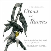 In the Company of Crows and Ravens by Paul R. Ehrlich, John M. Marzluff, Tony Angell