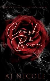 Crash & Burn by AJ Nicole