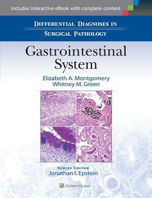 Differential Diagnoses in Surgical Pathology: Gastrointestinal System by Whitney M. Green, Elizabeth A. Montgomery