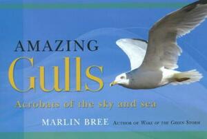 Amazing Gulls: Acrobats of the Sky and Sea by Marlin Bree