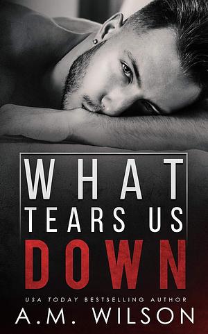 What Tears Us Down by A.M. Wilson