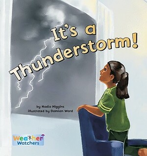 It's a Thunderstorm! by Nadia Higgins