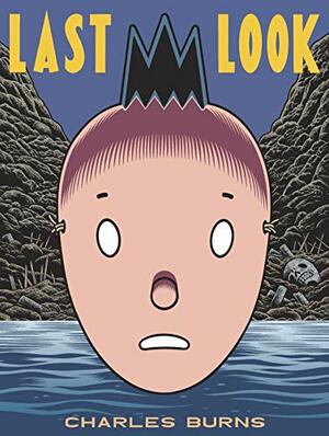 Last Look by Charles Burns