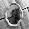 intothebookworld's profile picture
