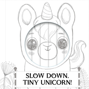 Little Faces: Slow Down, Tiny Unicorn! by Rhiannon Findlay