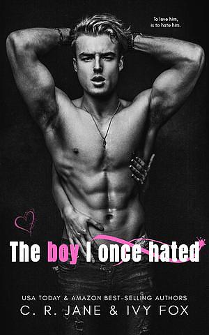 The Boy I Once Hated by C.R. Jane