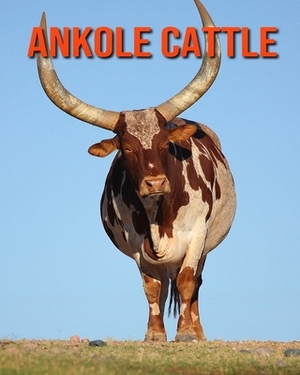 Ankole Cattle: Amazing Facts about Ankole Cattle by Devin Haines