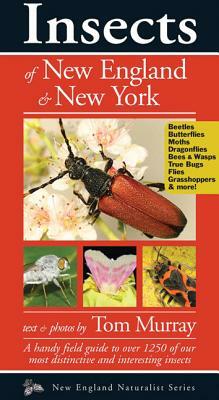 Insects of New England & New York by Tom Murray