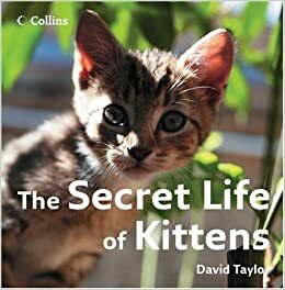 The Secret Life of Kittens by Mark Read, David Taylor