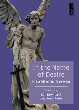 In the Name of Desire by JOO SILVRIO. TREVISAN