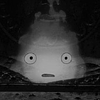 whitney_hutchings's profile picture