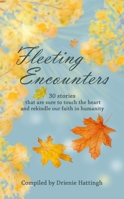 Fleeting Encounters: 30 stories that are sure to touch the heart and rekindle our faith in humanity by Drienie Hattingh