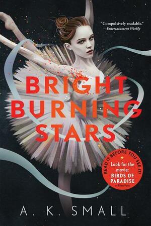 Bright Burning Stars by A. K. Small