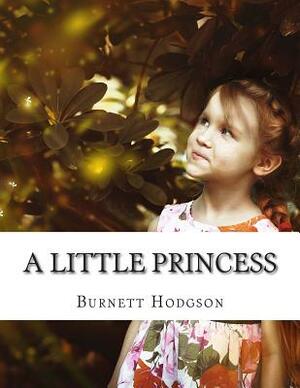 A Little Princess by Frances Hodgson Burnett