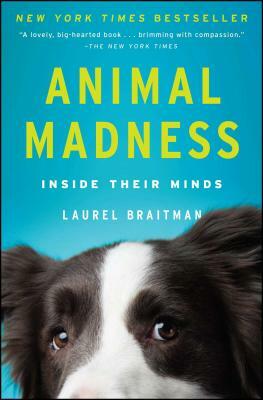 Animal Madness: Inside Their Minds by Laurel Braitman