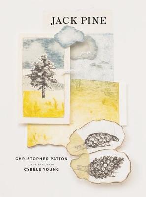 Jack Pine by Christopher Patton