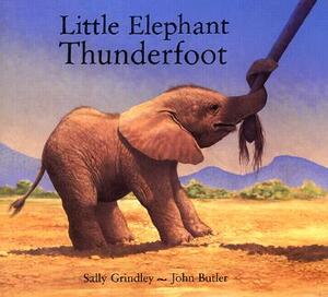 Little Elephant Thunderfoot by Sally Grindley