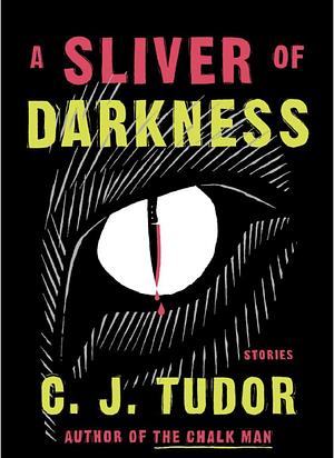 A Sliver of Darkness by C.J. Tudor