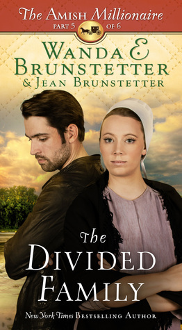 The Divided Family by Wanda E. Brunstetter, Jean Brunstetter