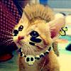 spiderkitten's profile picture