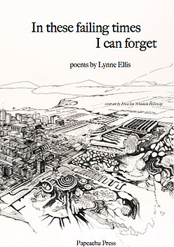 In These Failing Times I Can Forget by Lynne Ellis