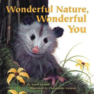 Wonderful Nature, Wonderful You by Karin Ireland