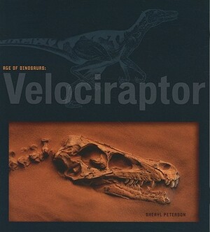 Velociraptor by Sheryl Peterson