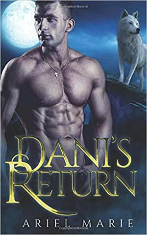 Dani's Return by Ariel Marie