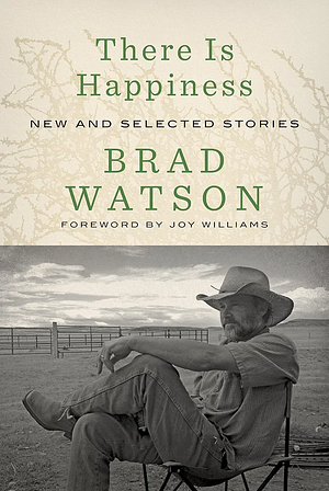 There Is Happiness: New and Selected Stories by Brad Watson