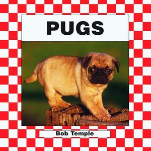 Pugs by Bob Temple