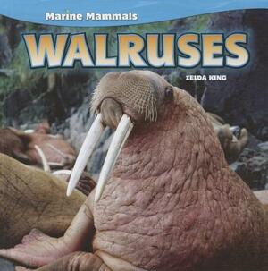 Walruses by Zelda King