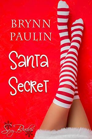 Santa Secret by Brynn Paulin