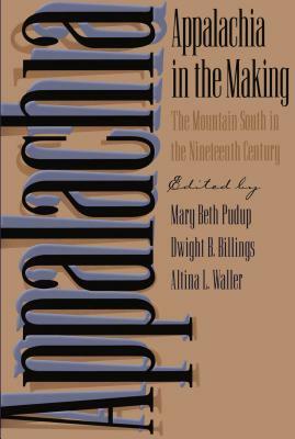 Appalachia in the Making: The Mountain South in the Nineteenth Century by 