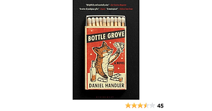 Bottle Grove: A Novel by Daniel Handler, Daniel Handler