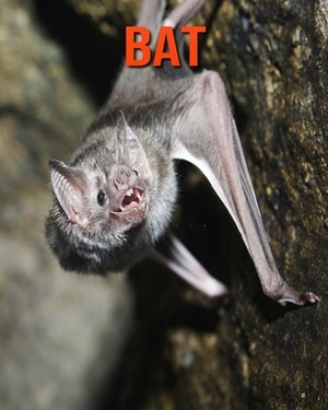 Bat: Learn About Bat and Enjoy Colorful Pictures by Diane Jackson