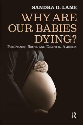 Why Are Our Babies Dying?: Pregnancy, Birth, and Death in America by Sandra Lane