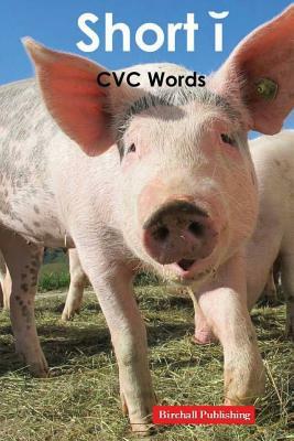 Vowels: Short i Vowel (CVC Words) by Birchall Publishing