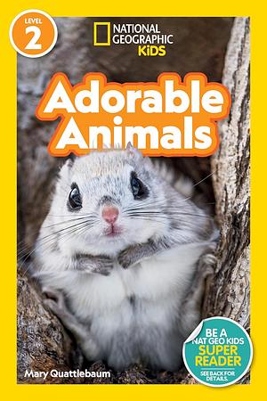 Adorable Animals by Mary Quattlebaum