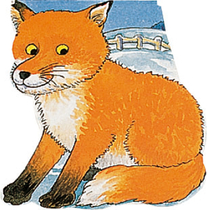 Pocket Fox by 