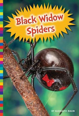 Black Widow Spiders by Elizabeth Raum