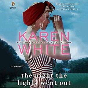 The Night the Lights Went Out by Karen White