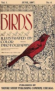 Birds, Illustrated by Color Photography, Vol. 1, No. 6 June, 1897 by Various